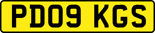 PD09KGS