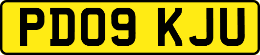 PD09KJU