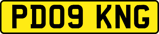 PD09KNG