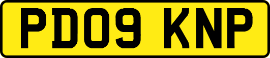 PD09KNP