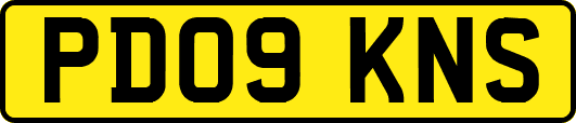 PD09KNS