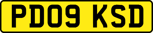 PD09KSD