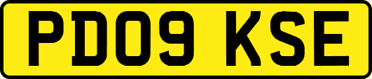 PD09KSE