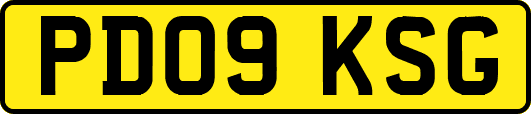 PD09KSG
