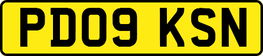 PD09KSN