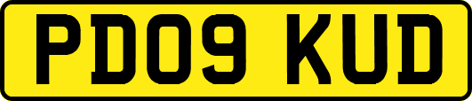PD09KUD