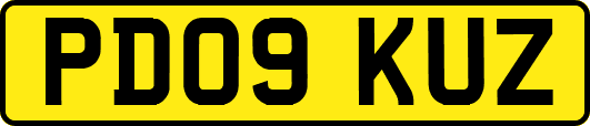 PD09KUZ