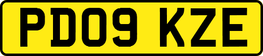 PD09KZE