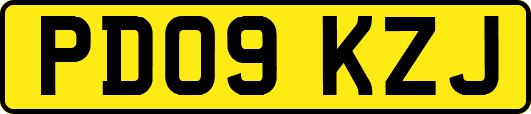 PD09KZJ