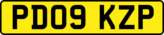 PD09KZP