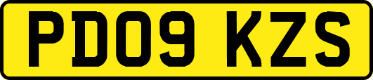 PD09KZS