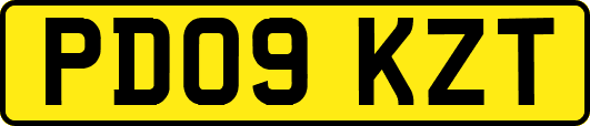 PD09KZT