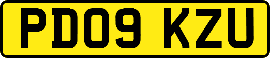 PD09KZU