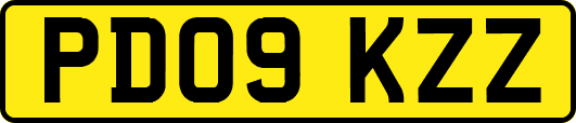 PD09KZZ