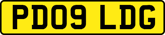 PD09LDG