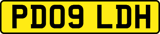 PD09LDH