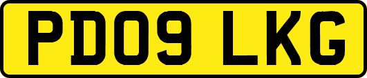 PD09LKG
