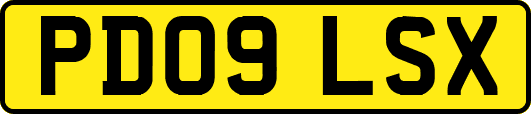 PD09LSX