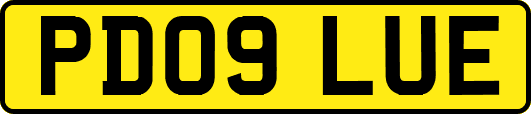 PD09LUE