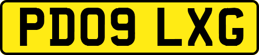 PD09LXG