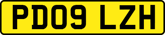 PD09LZH