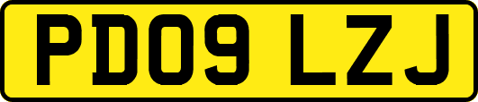 PD09LZJ