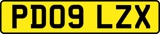 PD09LZX
