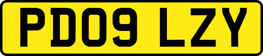 PD09LZY