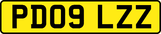 PD09LZZ