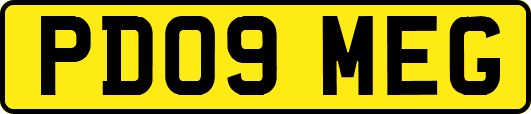 PD09MEG