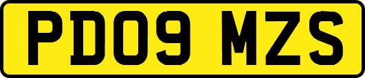 PD09MZS