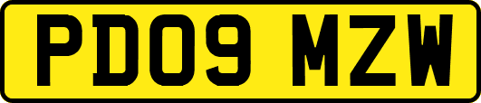 PD09MZW