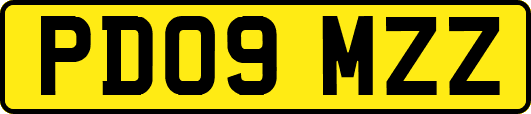 PD09MZZ