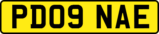 PD09NAE