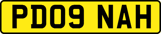 PD09NAH