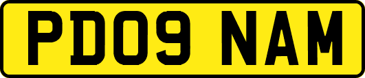 PD09NAM