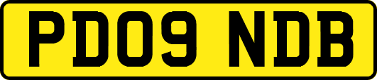 PD09NDB
