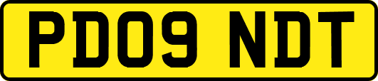 PD09NDT