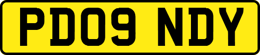 PD09NDY