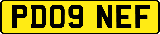 PD09NEF