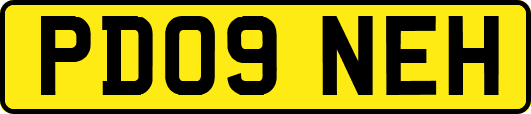 PD09NEH