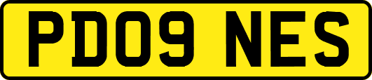 PD09NES