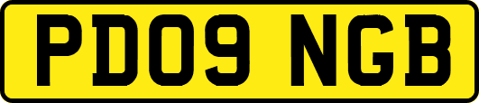 PD09NGB