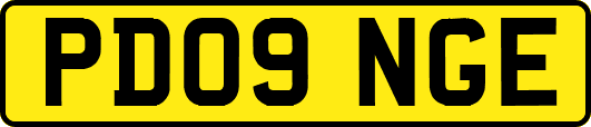 PD09NGE