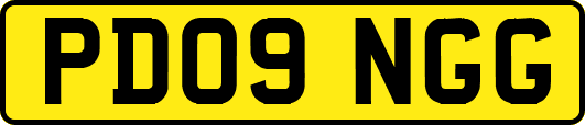 PD09NGG