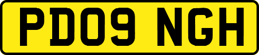 PD09NGH