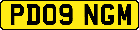 PD09NGM
