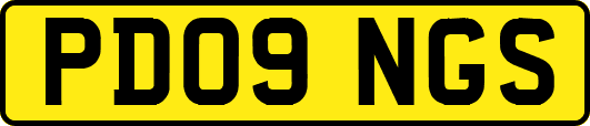 PD09NGS