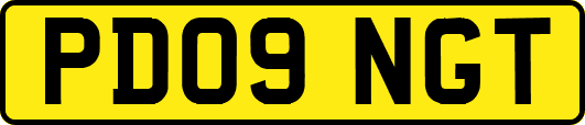PD09NGT