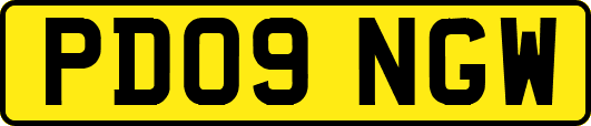 PD09NGW